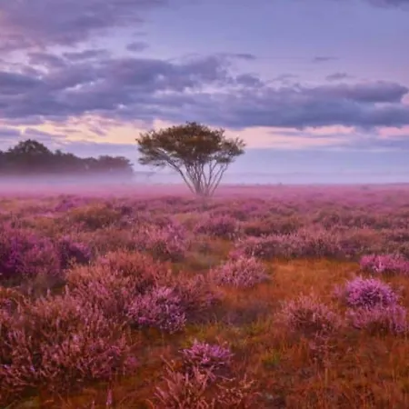 Alpstuga Boutique Putten Op De Veluwe