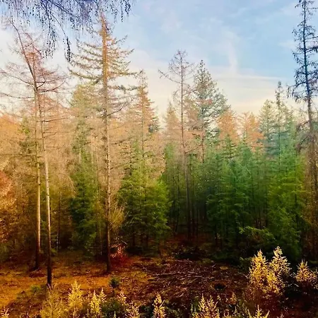 Chalet Boutique Putten Op De Veluwe *