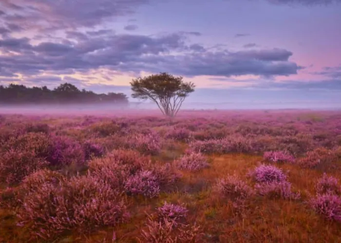 Domek alpejski Boutique Putten Op De Veluwe
