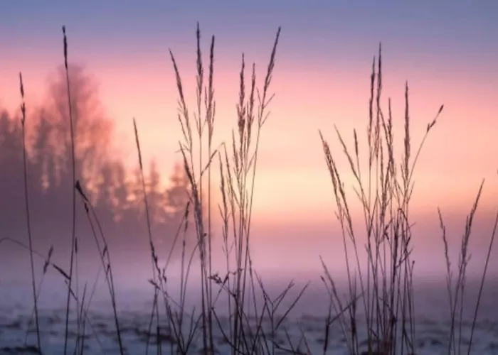 Boutique Putten Op De Veluwe