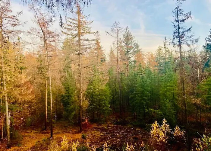 Alpstuga Boutique Putten Op De Veluwe *