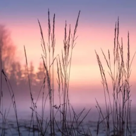 Boutique Putten Op De Veluwe